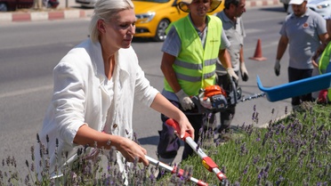 Bilecik Belediye Başkanı Subaşı, Park ve Bahçeler Müdürlüğü ekipleriyle hasat yaptı