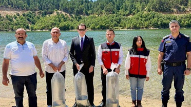 Hisarcık Hasanlar Barajı’na 80 bin sazan yavrusu bırakıldı
