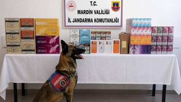 Mardin'de Kaçakçılık Operasyonu: 2 Milyon TL Değerinde Ürün Ele Geçirildi