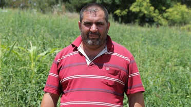 Safranbolu'da Maniye Domatesi Hasadı Başladı