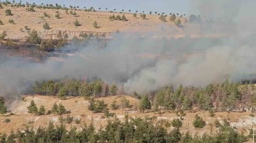 Şanlıurfa'da Orman Yangını Kontrol Altına Alındı