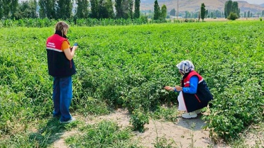 Tarım Arazileri Koruma Çalışmaları Devam Ediyor