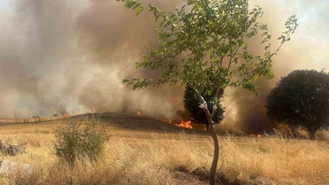 Gölbaşı'nda Trafo Patladı, Orman Yangını Çıktı