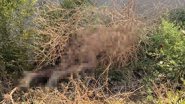 Reyhanlı'da Asi Nehri'nde Erkek Cesedi Bulundu