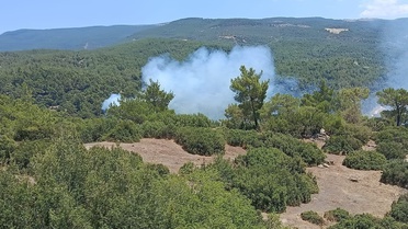 Aydın'da Orman Yangını Riski Artıyor