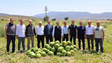 Bilecik'te 62 Bin Ton Karpuz Hasadı Bekleniyor