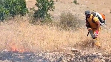 Diyarbakır'da Orman Yangını