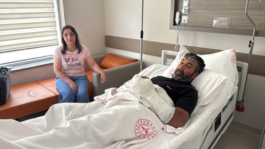 Erzincan'da Ayı Saldırısı: Bir Yaralı