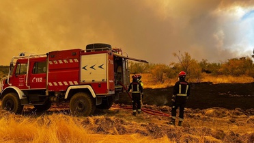 İspanya'da Orman Yangınları: 25.000 Hektar Kül