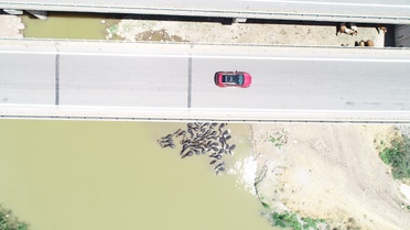 Diyarbakır'da Besicilik ve Sıcak Hava Mücadelesi