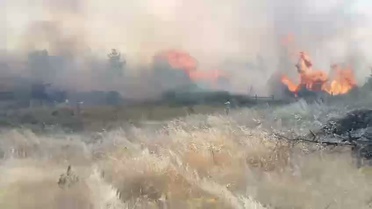 Akyaka ve Gökova’yı tehdit eden yangının kaynak makinesinden çıktığı belirlendi