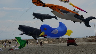 4. Trakya Uçurtma Festivali Başladı