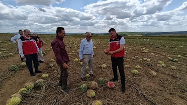 Tekirdağ'da Dolu Zararında Hasar Tespiti