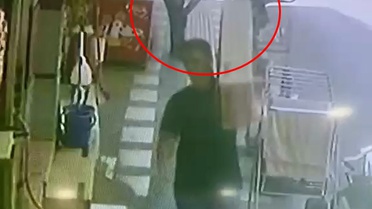 Kızıltepe'de Papağan Hırsızlığı