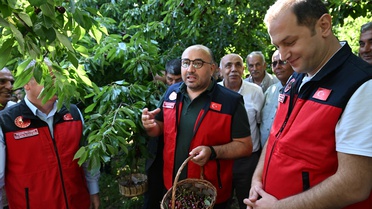 Çığşar Kirazı Hasat Etkinliği Düzenlendi