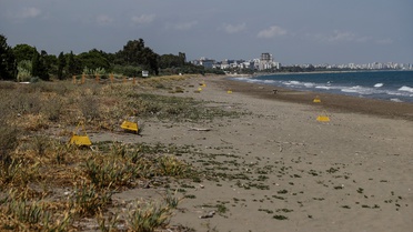 Deniz Kaplumbağaları İçin Koruma Çalışmaları
