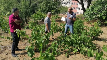 Tekirdağ'da Çeşitli Çalışmalar Devam Ediyor
