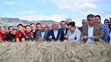 Denizli'de Yerli Hububat Hasadı Yapıldı
