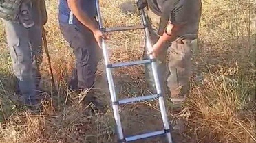 Akyurt'ta Define Kazısında Koyun ve Kaplumbağa Kurtarıldı