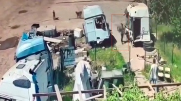 Şırnak'ta Başına Boş Köpek Saldırısı