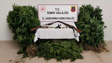 Uyuşturucu Yetiştiren Şüpheli Tutuklandı