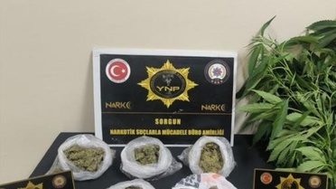 Sorgun'da Uyuşturucu Operasyonu
