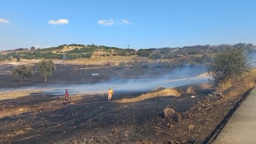 Balıkesir'de Arazi Yangını Kontrol Altına Alındı