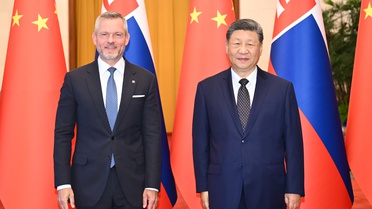 Xi Jinping ve Pellegrini Görüştü