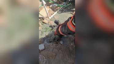 Beton Altında Kalan Yavru Köpek Kurtarıldı