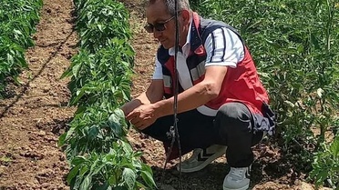 Tavşanlı'da Tarım Kontrolleri Yapıldı