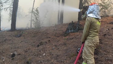 Pozantı'da Orman Yangını Söndürüldü
