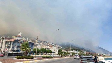 Altınoluk’taki orman yangınıyla ilgili Balıkesir Valisinden açıklama