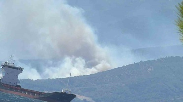 Yalova'da Orman Yangını