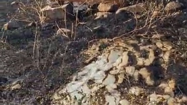 Solhan'da 25 Arı Kovanı Yakıldı