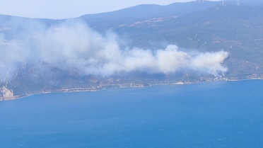 Yalova'da Orman Yangınına Müdahale