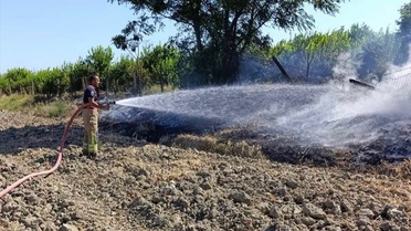 İskenderun ve Arsuz'da Yangınlar Söndürüldü