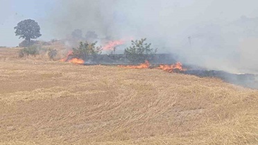 Edirne'de Anız Yangını: 100 Dekar Alan Zarar Gördü