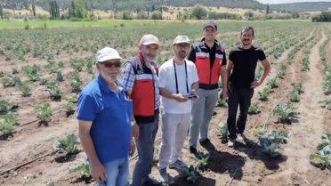 Kütahya'da Tarım Projeleri Kontrol Edildi