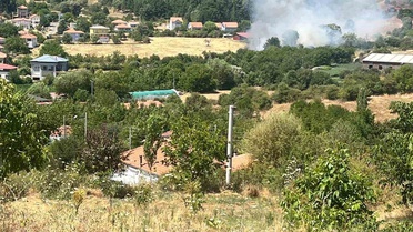 Aydın'da Ziraat Alanında Yangın Çıktı