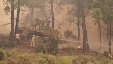 Seydikemer'de Zirai Yangın: 335 Ev Boşaltıldı