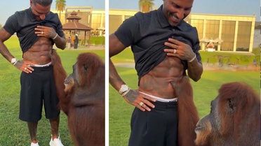 Orangutan, Quaresma’nın kaslarına hayran kaldı