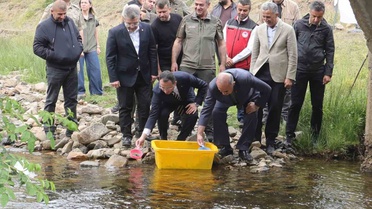 Ordu’da 35 bin doğal alabalık dereye bırakıldı