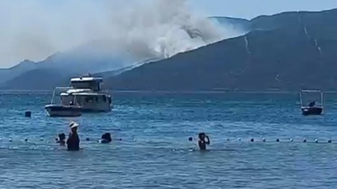 Yalova'da Orman Yangını