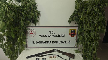 Yalova'da Uyuşturucu Operasyonu