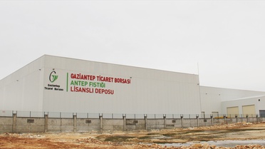 Antep Fıstığı Deposu Hazır