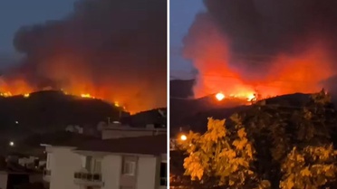 Aydın ve Balıkesir'de orman yangını! Havadan ve karadan müdahale devam ediyor