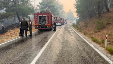 Ayvalık'ta Orman Yangını, Karayolu Kapandı