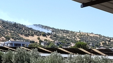 Aydın'da Zirai Alan Yangını