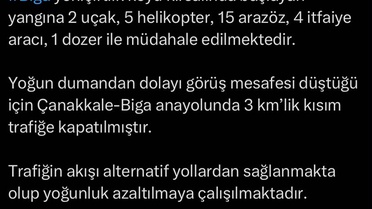 Biga'da Tarım Arazisinde Yangın