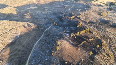 Çanakkale'de Yangın Kontrol Altına Alındı
